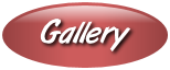 Gallery button